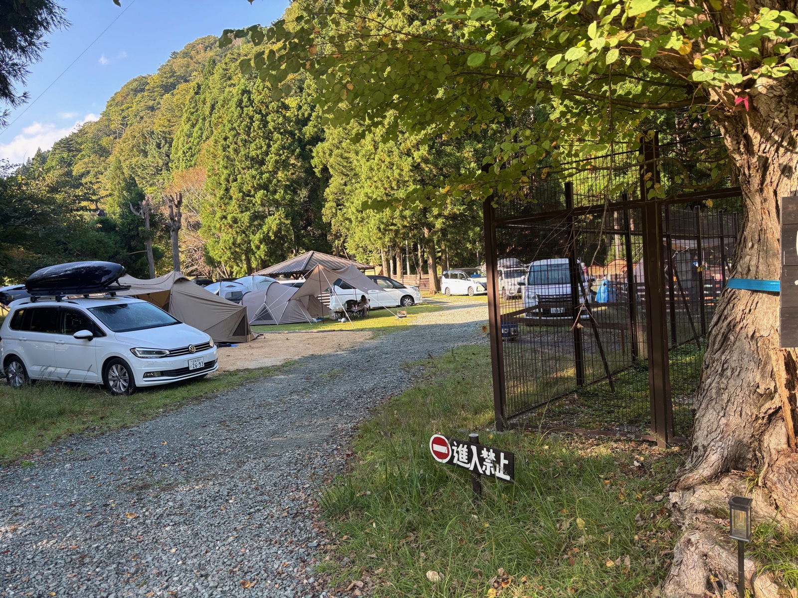 かもしか葛川森のキャンプ場のサイトと比良山系の森