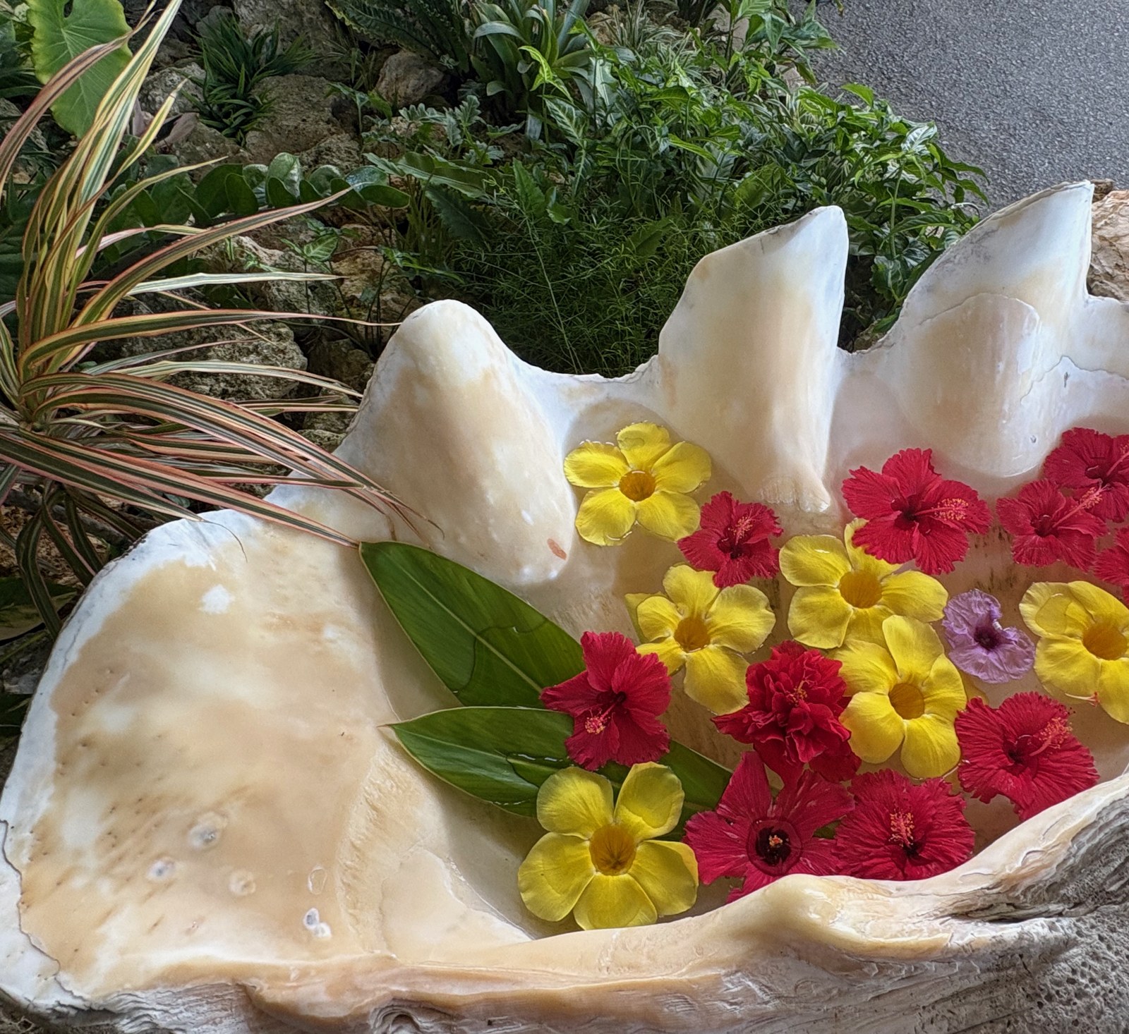 シャコ貝に浮かべられた南国の花々(はいむるぶしのウェルカム装飾)