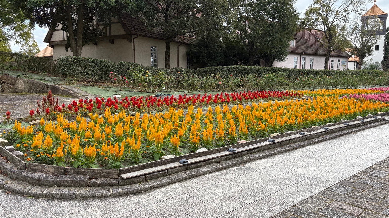 花壇と建物が並ぶ園内。犬と子どもと一緒に楽しめたお出かけでした。
